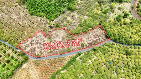 Hòa Phú- Buôn Ma Thuột- Đắk Lắk dt hơn 5 sào view sông Serepok xinh đẹp đất sẵn cà phê và sầu chỉ nhỉnh 1 tỷ
