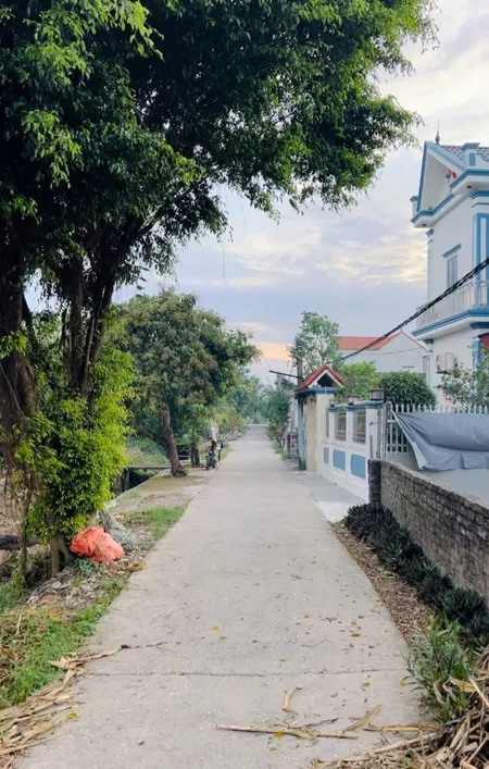 Bán đất đẹp xã Ý Yên, Ninh Bình