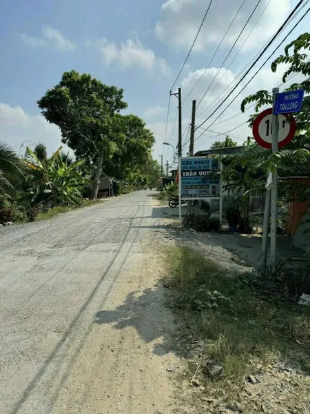 Bán đất 200m2 (8,1x25m), mặt tiền Tân Long, Tân Nhựt, Bình Chánh, giá đầu tư