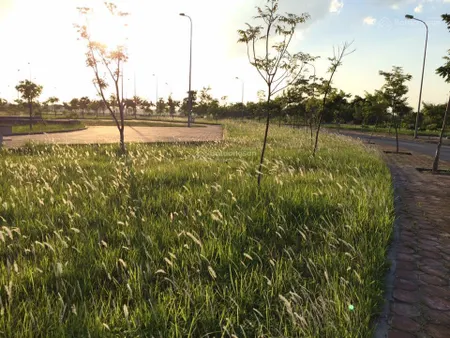 Tuyệt phẩm công viên tàm xá, đông anh 83m2, 2 mặt tiền, đường 4 ôtô tránh, giá đầu tư!