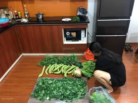 Chính chủ cần bán gấp căn hộ 67m2 2n2vs 2 ban công đẹp và để lại full đồ dùng