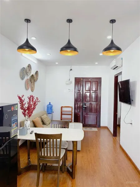 (độc quyền) chủ gửi bán căn hộ hưng phú 50m2 2pn full nội thất căn xe cao cấp 1,49 tỷ