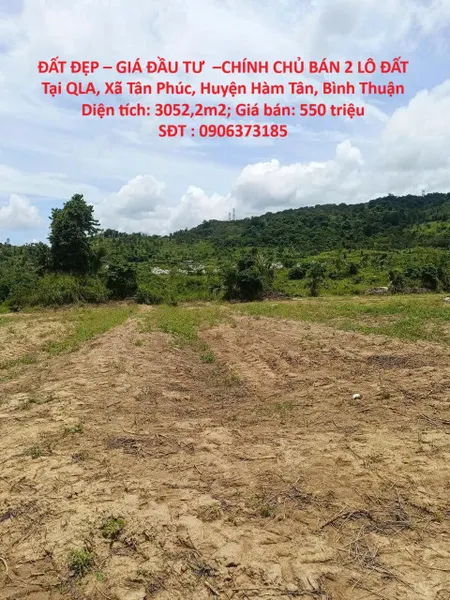 ĐẤT ĐẸP – GIÁ ĐẦU TƯ  –CHÍNH CHỦ BÁN 2 LÔ ĐẤT Tại QLA, Xã Tân Phúc, Huyện Hàm Tân, Bình Thuận