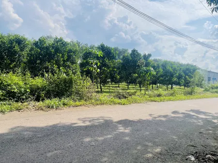 Bán đất 1332.9m² ngang 20m SHR FULL THỔ giá 1 TỶ 350 TRIỆU  Xã Phước Thành