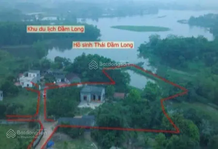 Mảnh đất nghỉ dưỡng 45m mt bám hồ sen đầm long, giá cực rẻ, sẵn nhà c4, ao nhỏ, vườn cây ăn trái