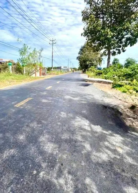 Bán đất (15 x 53m) có 300mv thổ cư mặt tiền tỉnh lộ 873b, phường sơn qui, đồng tháp
