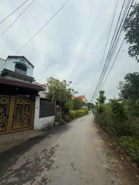 Mảnh đất vàng đông mỹ thanh trì dt 63m, mt 4.1m, ngõ thông oto vũ minh phát 0982 612 ***
