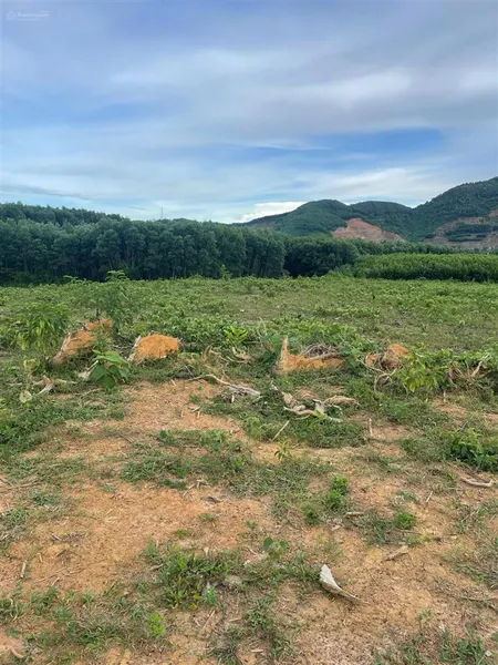 Chính chủ gửi bán lô đất đẹp hòa ninh, 4600m²(300m² thổ cư) mt 60m, đường ô tô vào tận nơi chỉ 7tỷ7