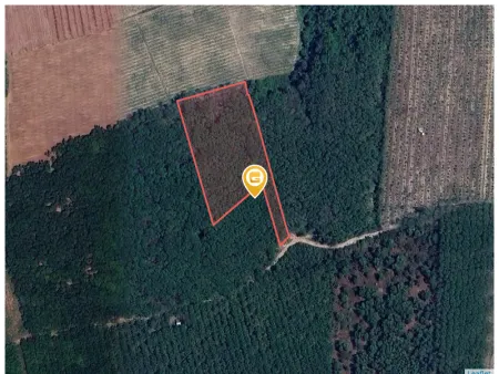 Bán đất 8700m² ngang 32m giá 11 tỷ Xã Phú Giáo