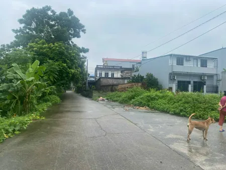 Bán đất 63m² ngang 9,9m giá 4.4 tỷ Xã Thư Lâm