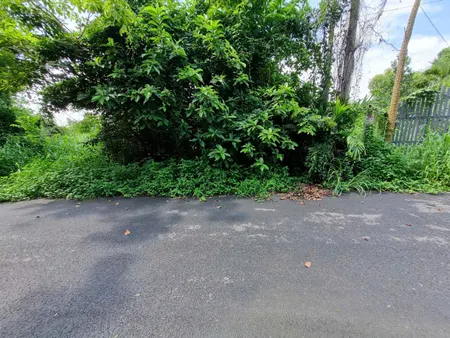 (S733) Đất 1/ Cây Trắc, xã Phú Hòa Đông, dt 190m2, thổ cư 153m2, đất ở hiện hữu, giá 2 tỷ 100 thương lượng