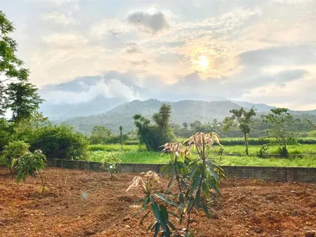 Bán đất tại xã vân hòa, ba vì, hà nội, dt 1534 m2