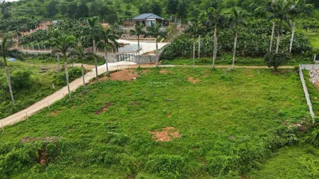 Cơ hội vàng lô góc vip yên bài 1.668m2 chỉ 8 tỷ (5tr/m2)