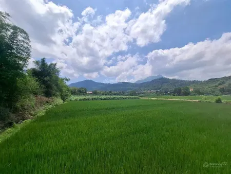 Bán đất nghỉ dưỡng lô góc view cánh đồng & núi hữu tình yên bài, ba vì 2200m2, 300m2 đất ở