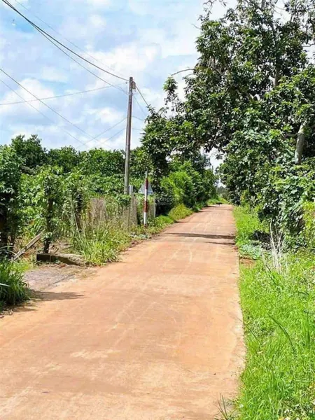 Bán nhanh đất 200m2 ngang 6.36 tại tân lợi, đồng phú.