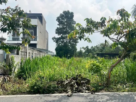 Bán đất Trục Chính Đổ Đăng Tuyển 
DT : 1594m² ngang 26m x 60m 
Giá : 18.5 tỷ Xã An Nhơn Tây - Củ Chi
