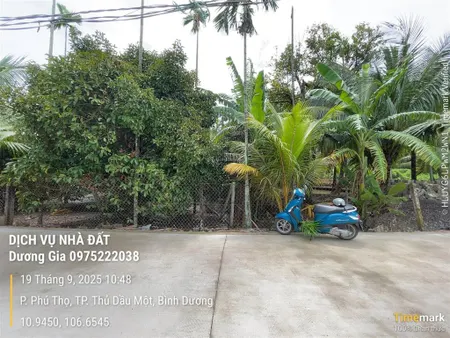 Bán đất p. thủ dầu một, tphcm ngang 10x25m, tc 160m. giá 14,5tr/m2. 0975 222 ***