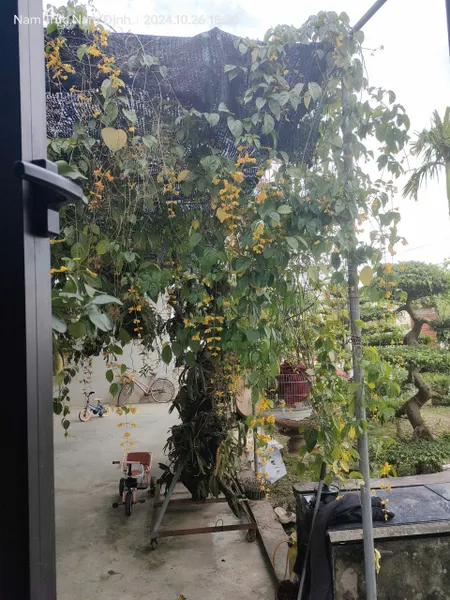 Bán gấp giá rẻ ngõ 1 tổ 8 Ngọc Hồi, Vĩnh Khang 52m, 5 tầng, mặt tiền 3.4m, 6.7 tỷ Thanh Trì.