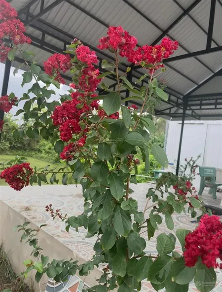 Đất , nhà kho chính chủ , không qua trung gian. phù hợp cho cty nhà vườn