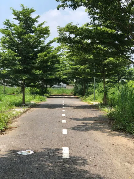 🏡 ĐẤT THỔ CƯ 117,9m² – TRẢNG BOM, ĐỒNG NAI