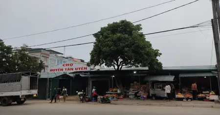 300m2 đất ngay khu công nghiệp An Linh giá 650TR