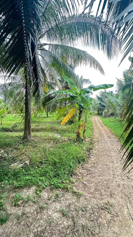 Đất công quy hoạch đất ở lên thổ gần khu dân cư