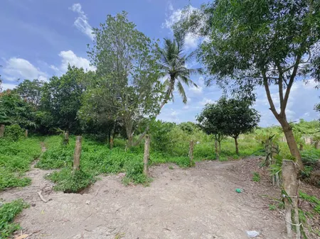 Bán đất 1840.3m² ngang 20m giá 1.55 tỷ Xã Đức Hòa