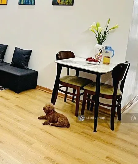 Nhỉnh 4tỷ chung cư 3 phòng ngủ 2vs 74m2 kim văn kim lũ hoàng mai mặt đường nguyễn xiển