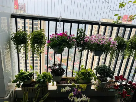 Bán cc tại 124 phố minh khai, hai bà trưng, 3 phòng ngủ, 2wc, full nội thất, thoáng sáng sạch đẹp