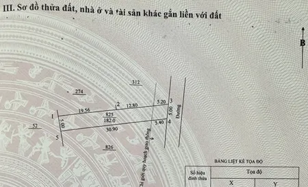 💥 Đất hẻm Bùi Đình Tuý thông Bùi Dự ngay làng Ốp