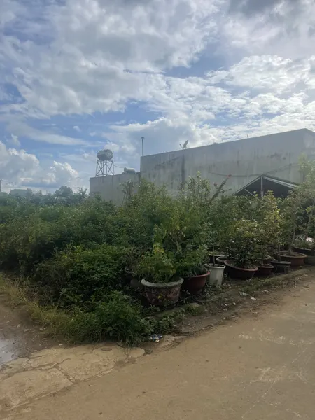 Cần Bán Đất