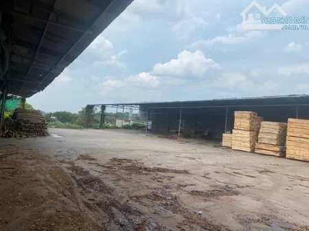 XT452 Cho thuê mặt bằng kinh doanh 2700m2 mặt tiền đường Lê Ngô Cát Tân Hoà. Giá chỉ 40tr