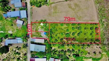 Bán 1550m2 đất có sẵn vườn sẵn 140m2 đất ở, ngay hl62 diên tân