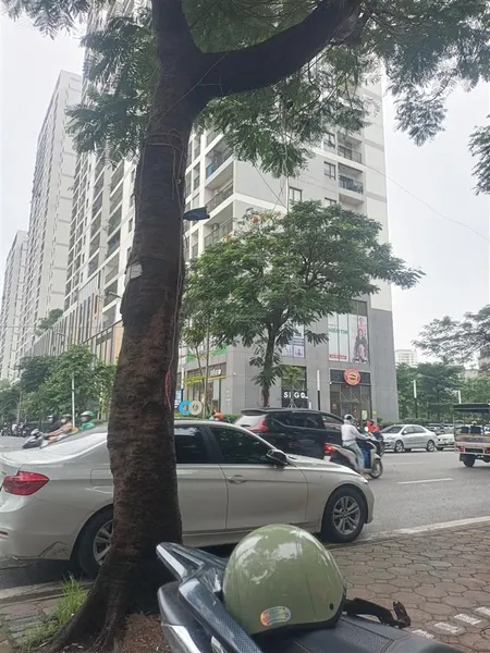 Bán đất ngoại giao đoàn xuân la xđ tây hồ giá đầu tư 80m giá 14.1 tỷ ô tô đỗ 2 mặt ngõ