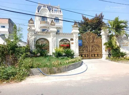 Bán đất 5200m2 tại xã bình lợi, 60 tỷ, mặt tiền 50m, ngõ rộng 12m