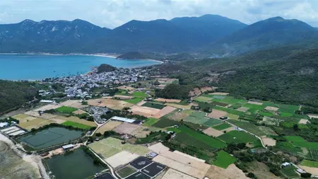 2.6ha 100% view biển và khu dân cư ninh vân ninh hòa mặt tiền đường tỉnh lộ giá thiện chí bán