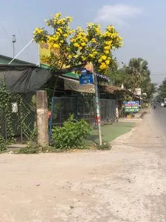 Bán 4865,3m2 đất mặt tiền đường 9, vành đai 3, phường long phước, thành phố hồ chí minh