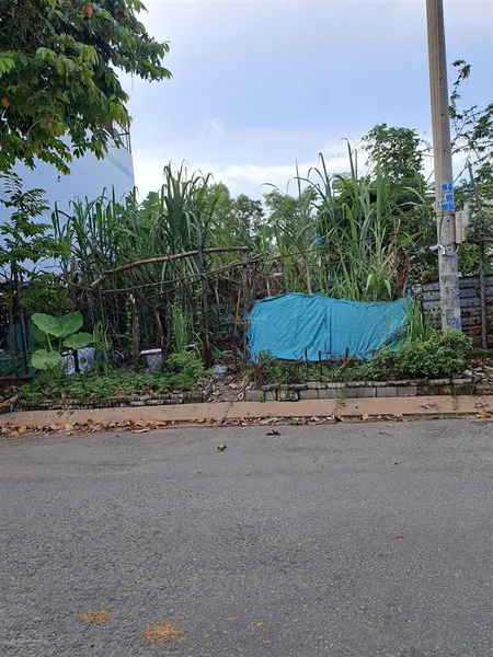 Bán đất mặt tiền đường thới tam thôn nhánh đặng thúc vịnh 10x20 vuông vức đất thổ cư gần trường học
