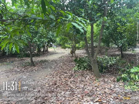 Bán Gấp 4686m² Đất Vàng Mặt Tiền Đường 25, Q.2 - Sinh Lời Ngay 118Tỷ, SHR