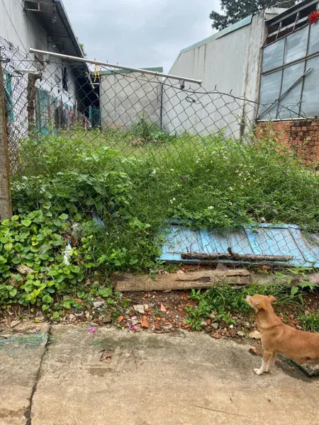 Bán đất 210.6m² ngang 5m giá 2.45 tỷ Phường Tân Lập