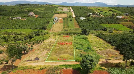 Bán Đất Thổ Cư Sổ Hồng Ven Đà Lạt