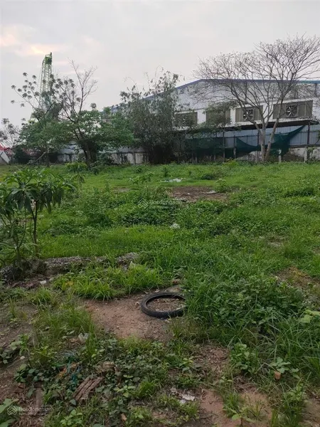Bán đất lô cn 8 khu công nghiệp ninh hiệp, dt 2000m2 vị trí đẹp tiện làm kho xưởng, giá 26 tỷ