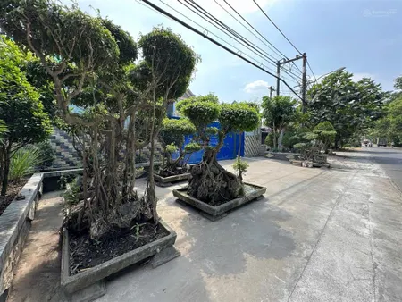 Bán nhà xưởng 2.866 m2 full thổ cư 2 mặt tiền đường thanh niên, bình chánh