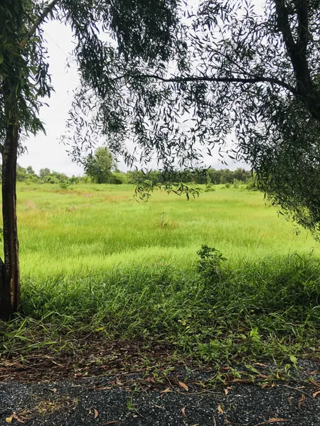 Bán đất 1700m² ngang 18m giá 5.2 tỷ Xã Phú Hòa Đông