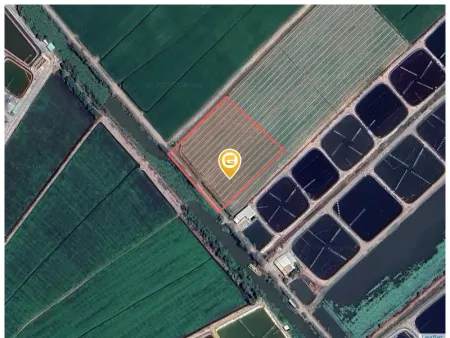 Bán đất 50000m² giá 50 tỷ Xã Mộc Hóa