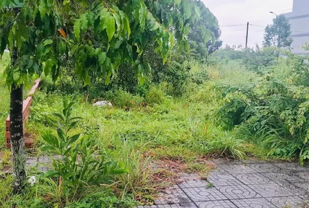 Cần bán 1 lô Gò Cát 8 Hoà Long, Bà Rịa (nay là Tam Long,TP.HCM)