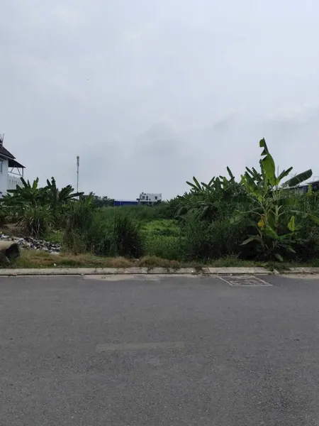 Bán đất 3878.1m² ngang 10m giá 6.7 tỷ Xã Mỹ Hạnh