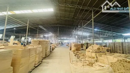 XT535 Cho thuê nhà xưởng Sản xuất Kho chứa hàng TP Biên Hoà