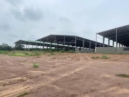 Bán xưởng 31952m2 đã xây dựng hoàn thiện phần thô tại phú giáo bình dương