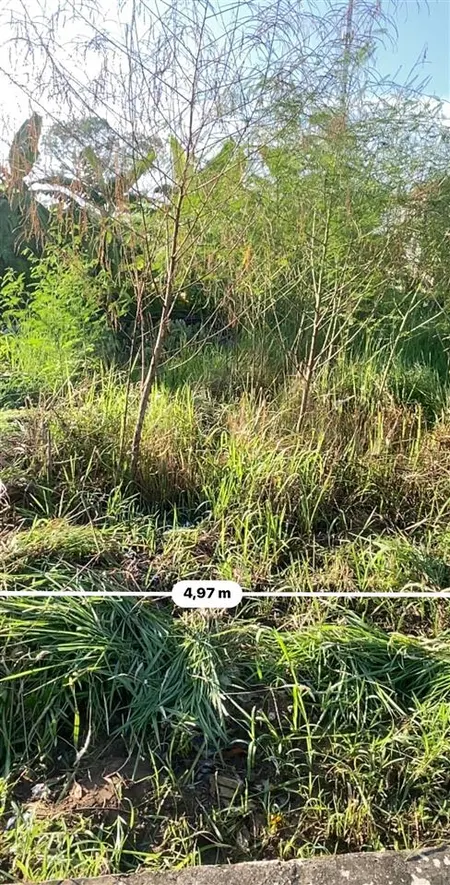 Đất đấu giá khánh hà thường tín 73 m giá 4,7 tỷ